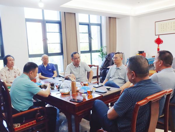 “以环境提升”带动“古城复兴”|金乡镇下步将采取多项举措提升古城面貌